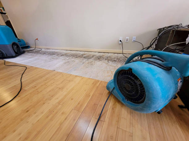 Professional Flood Damage Cleanup technician working in Abington, PA